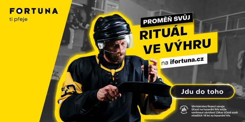 Fortuna: kontrola tiketu na internetu rychle a snadno